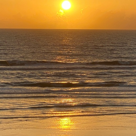 Meet your Posher, Debra - Picture 2 of 2